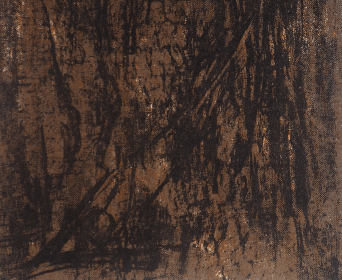 Maria Helena VIEIRA DA SILVA : Terre du Portugal - Lithographie originale