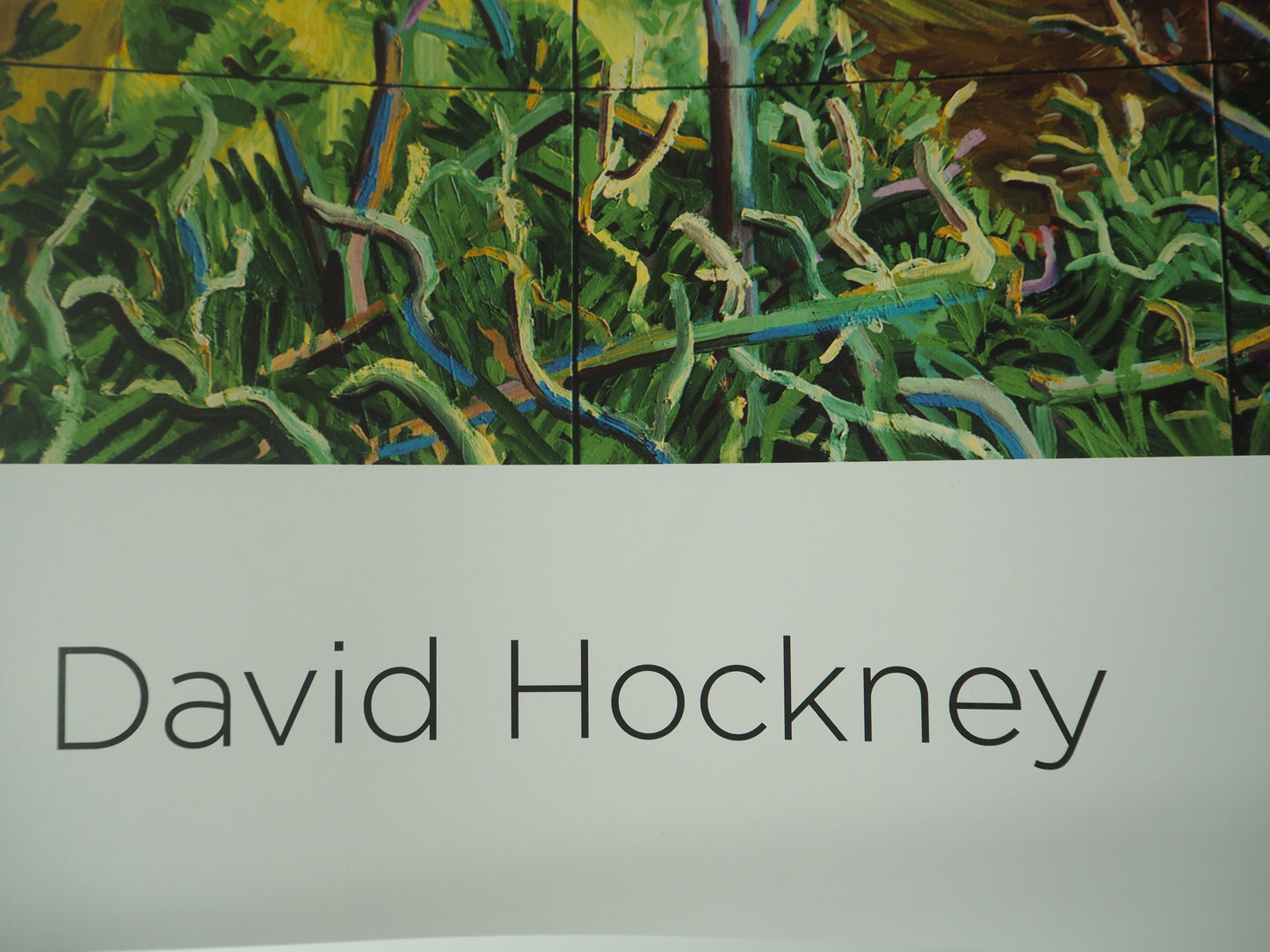 David HOCKNEY : Closer Grand Canyon - Affiche originale