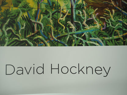 David HOCKNEY : Closer Grand Canyon - Affiche originale