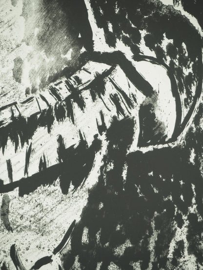 Roger CRUSAT : La bouffonnerie sans couleur - Lithographie originale