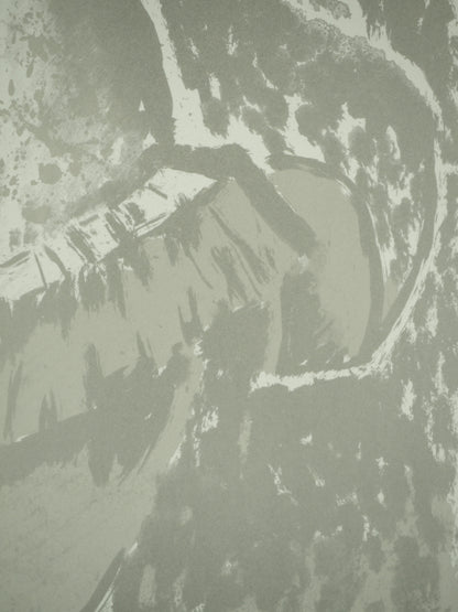 Roger CRUSAT : Le clown gris - Lithographie originale