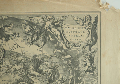 Hendrik HONDIUS : Carte céleste vue du pôle sud - Gravure