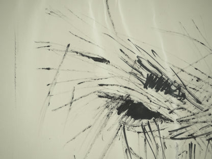 Roger CRUSAT : Le seau de paille - Dessin original signé