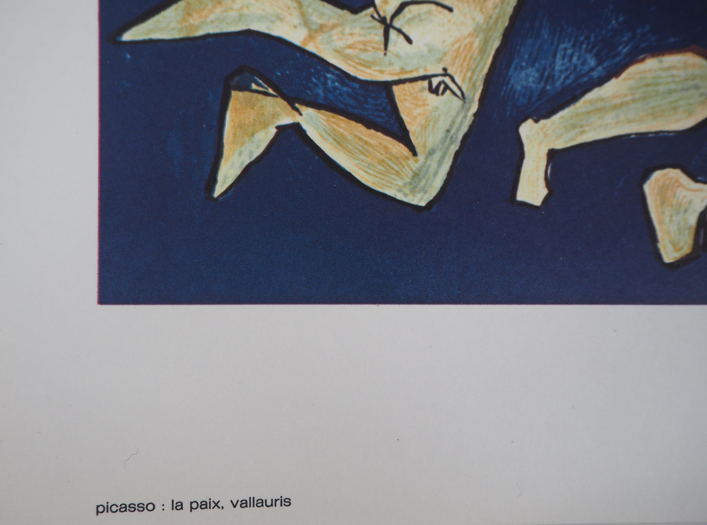 Pablo PICASSO : La paix - Lithographie en couleurs