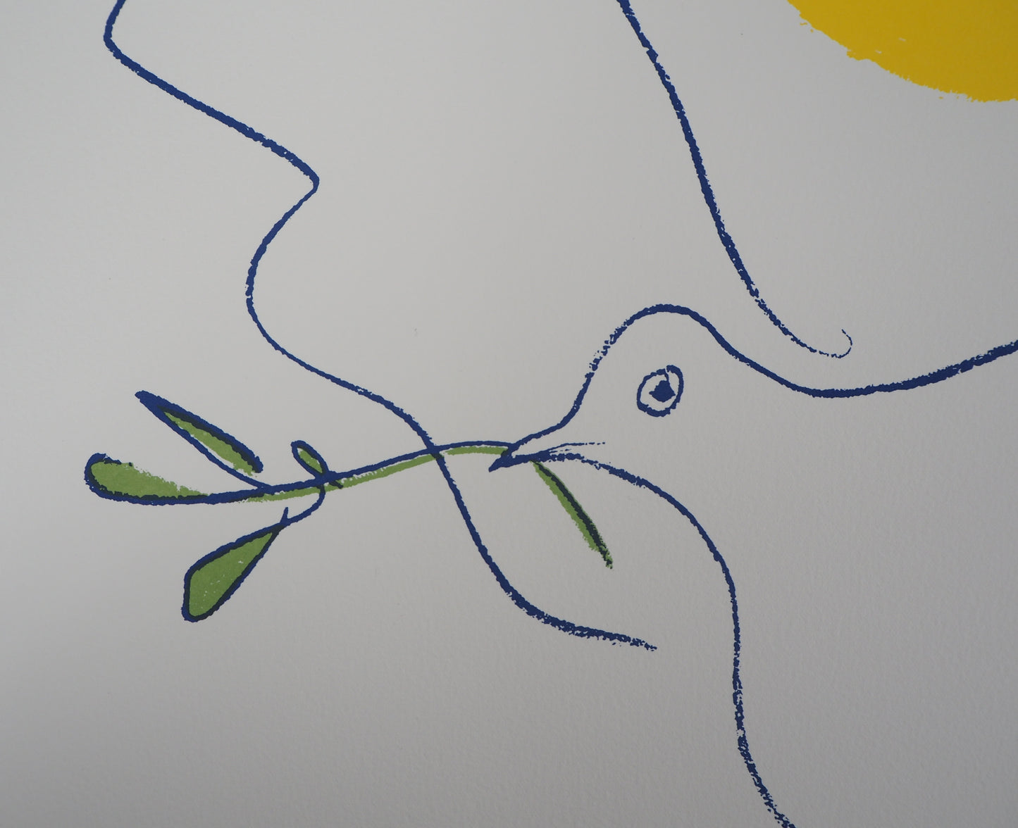 Pablo PICASSO : Colombe de l'avenir - Lithographie signée