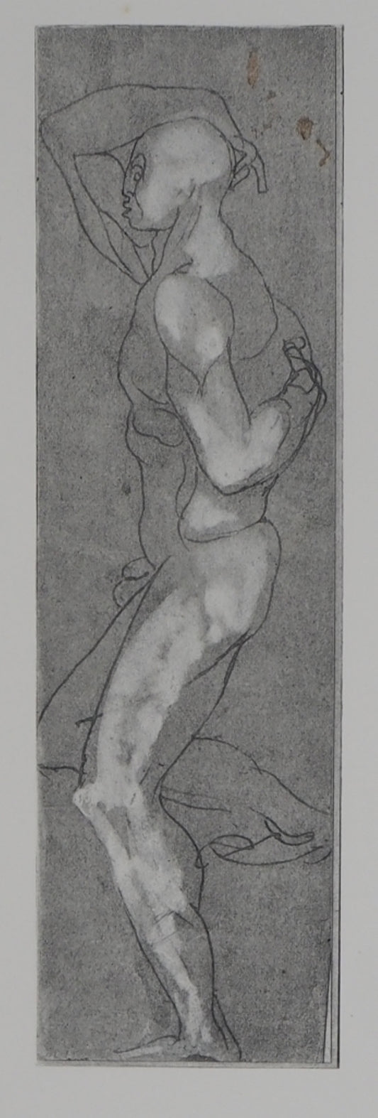 Auguste RODIN : Homme de profil - Gravure