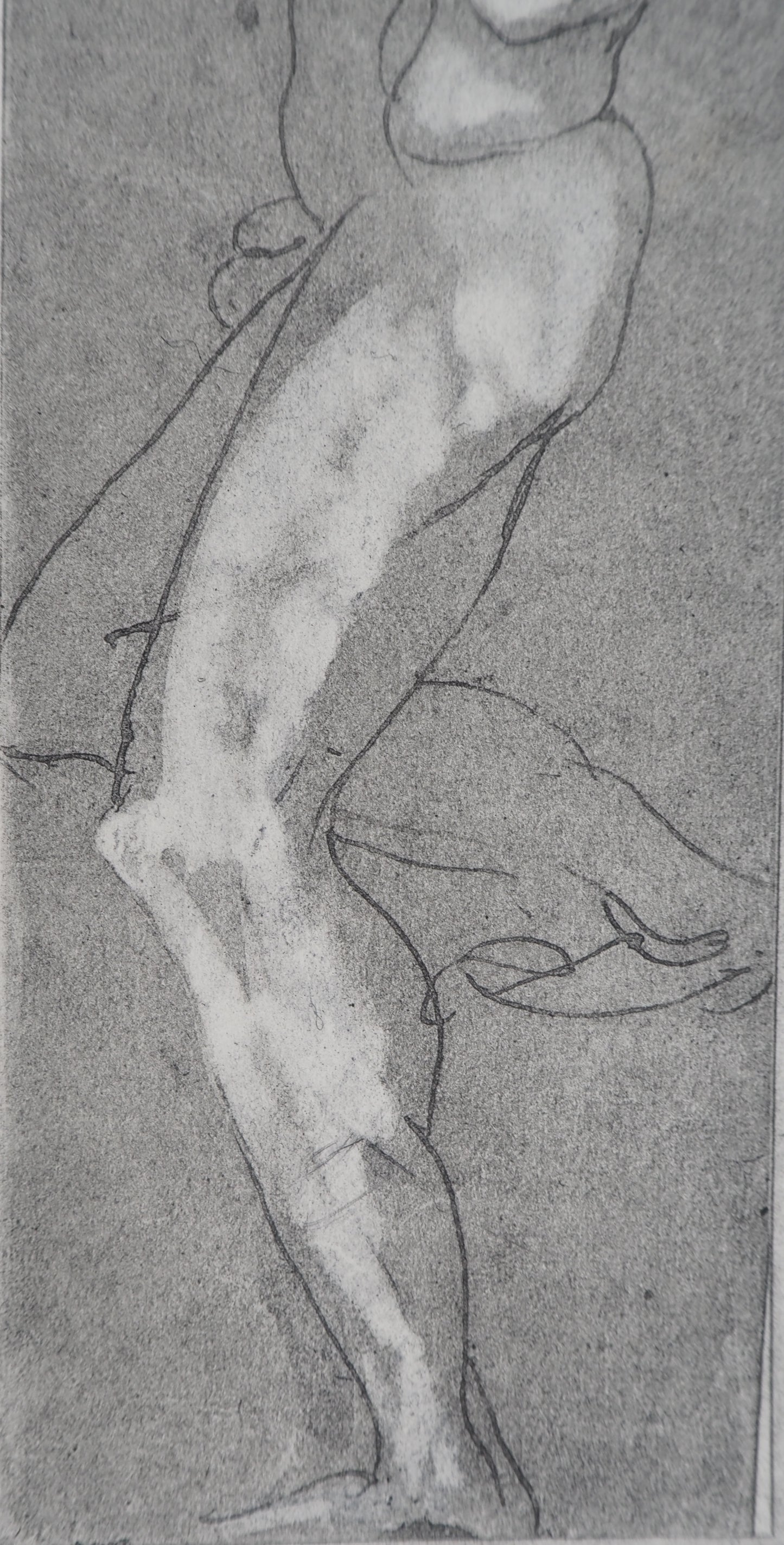Auguste RODIN : Homme de profil - Gravure