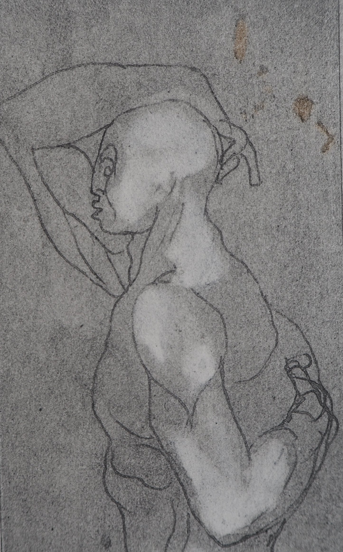 Auguste RODIN : Homme de profil - Gravure