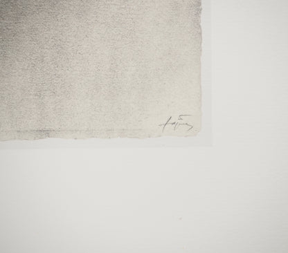 Antoni TAPIES : Ecriture en relief - Lithographie signée