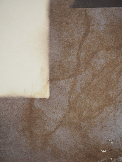 Antoni TAPIES : Lettre inversée - Lithographie signée