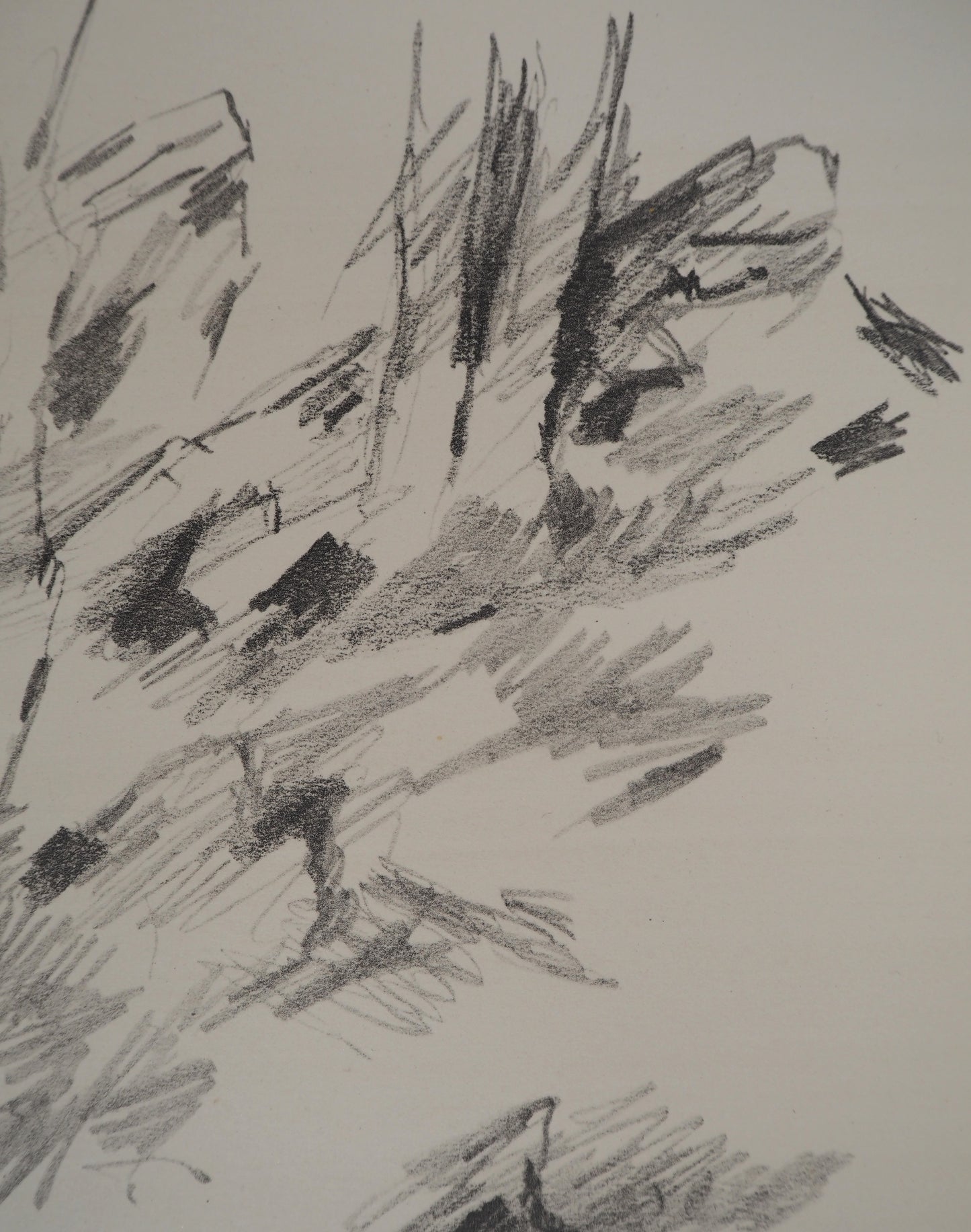 Jean BAZAINE : Sous bois - Lithographie originale signée
