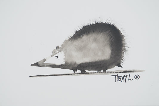 Laszlo TIBAY : L'hérisson - Dessin original signé