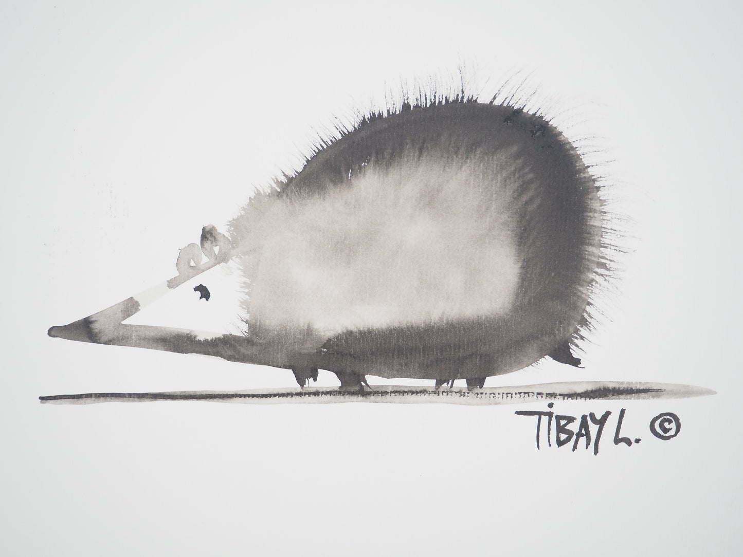 Laszlo TIBAY : L'hérisson - Dessin original signé