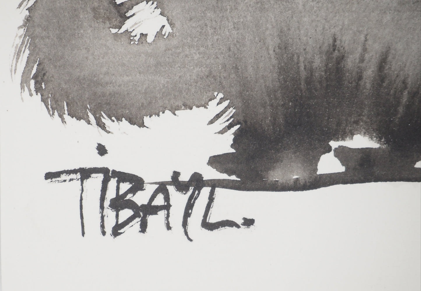 Laszlo TIBAY : Petite boule de poil - Dessin original signé
