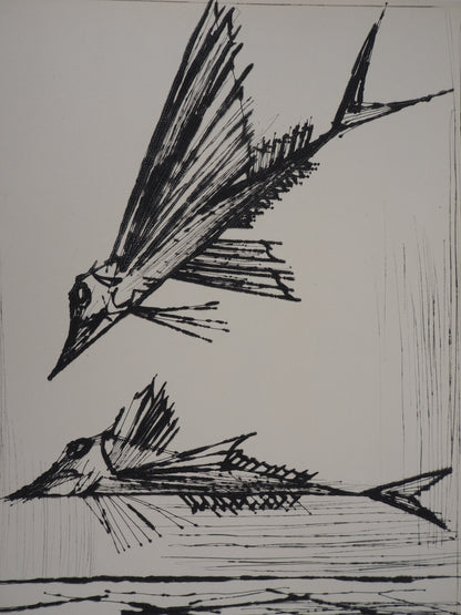 Bernard BUFFET : Poissons volants - Gravure originale