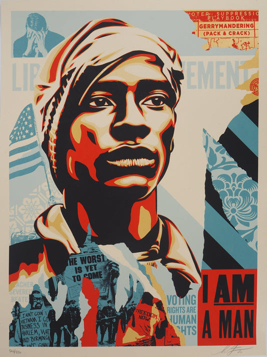 Shepard FAIREY (OBEY) : Voting Rights are Human Rights - Lithographie originale signée et numérotée