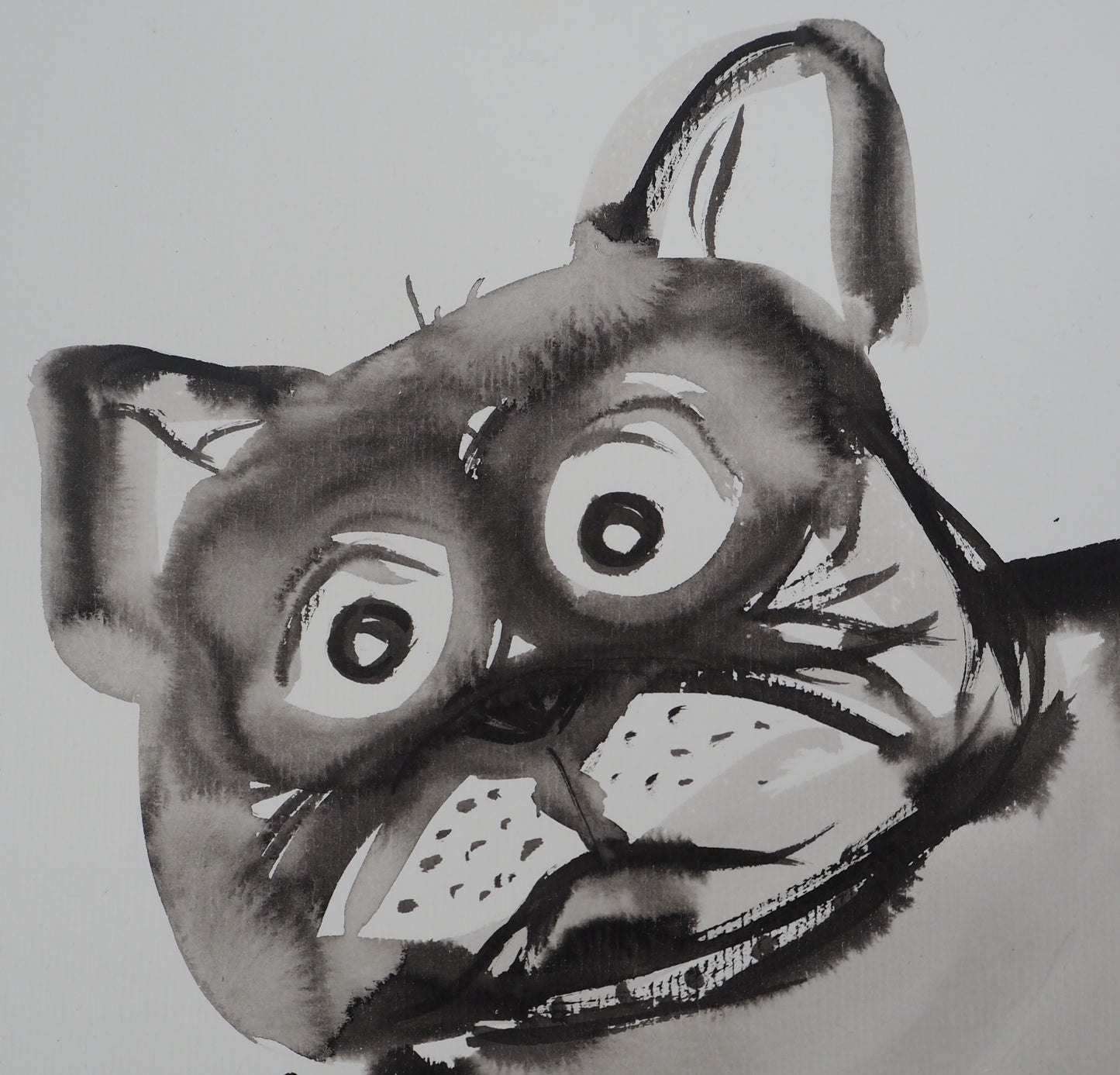 Laszlo TIBAY : Chien et son ami le chat - Dessin original signé