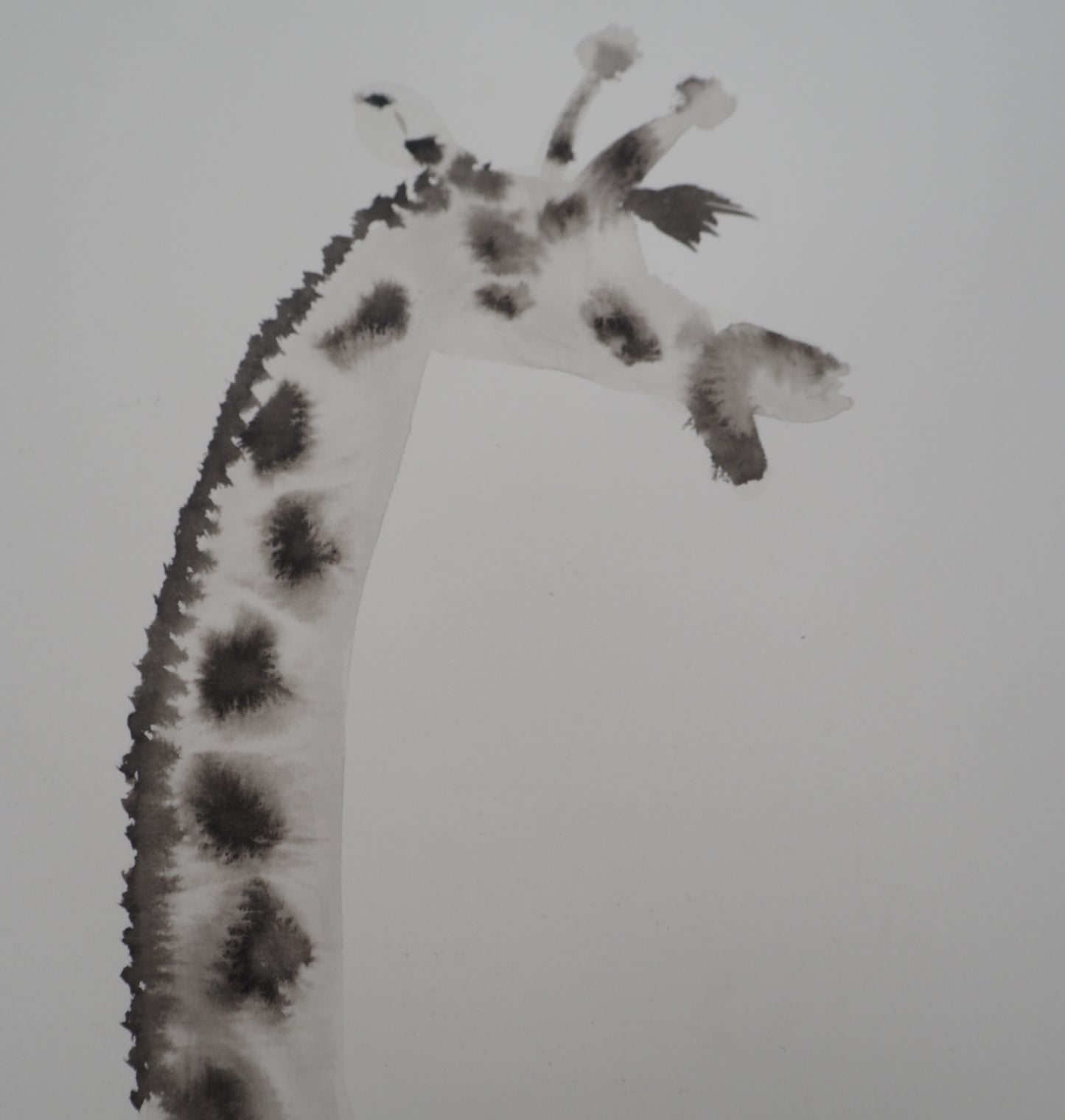 Laszlo TIBAY : La girafe enjouée - Dessin original signé