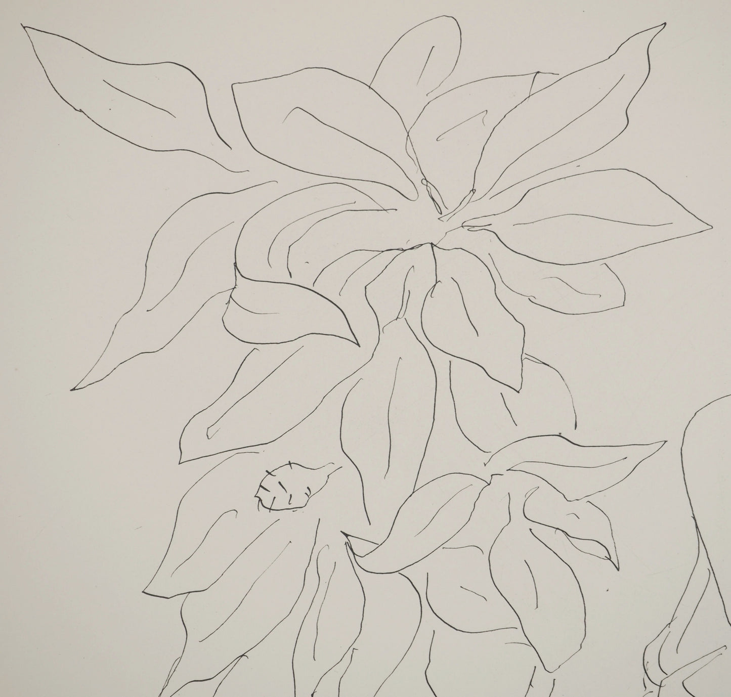 Henri MATISSE : Femme aux longs bras - Lithographie signée