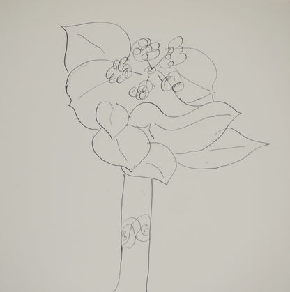 Henri MATISSE : Bouquet de fleurs estival au citron - Lithographie signée