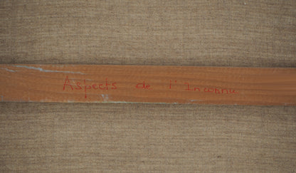 Mauro MEJIAZ : Aspects de l'inconnu - Huile sur toile