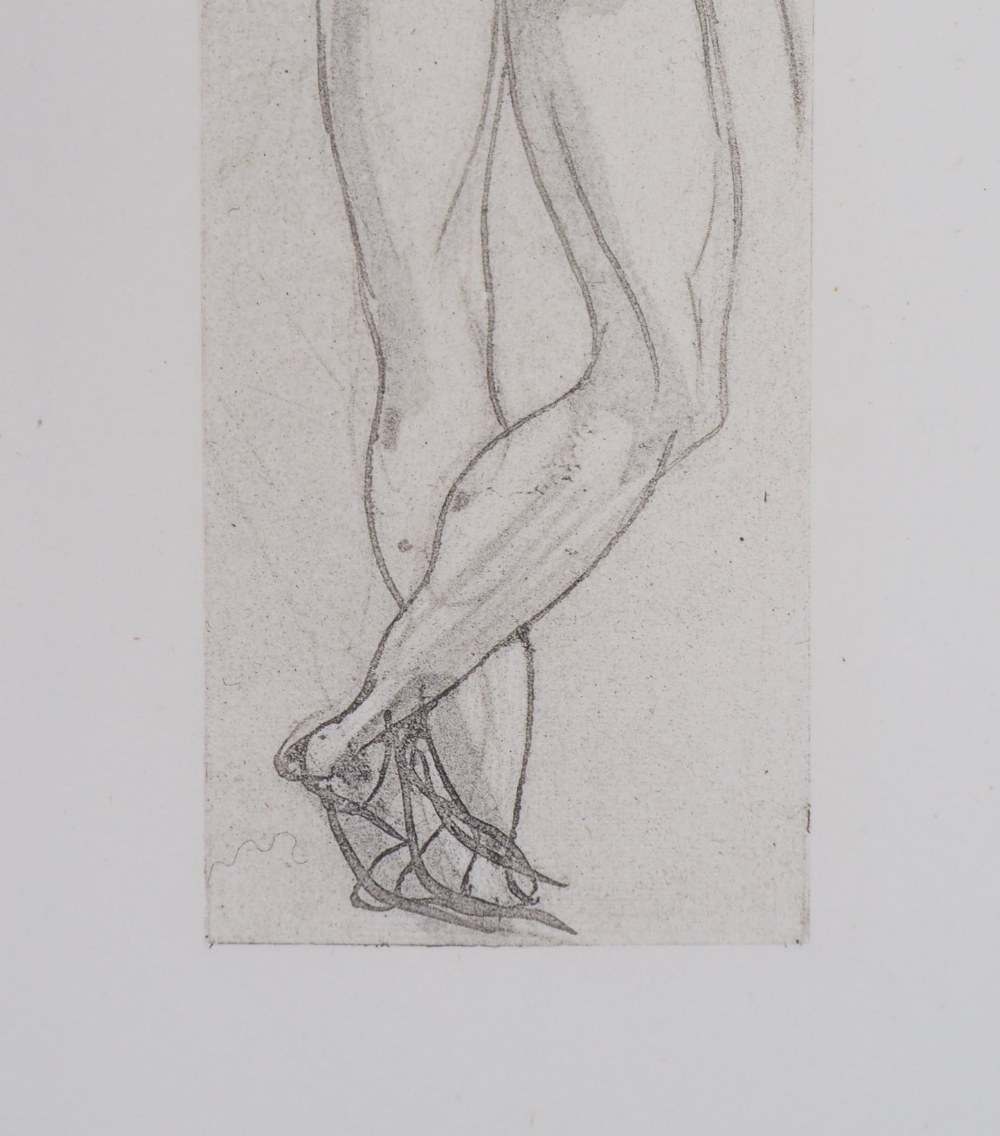 Auguste RODIN : Ombre de guerrier  - Gravure