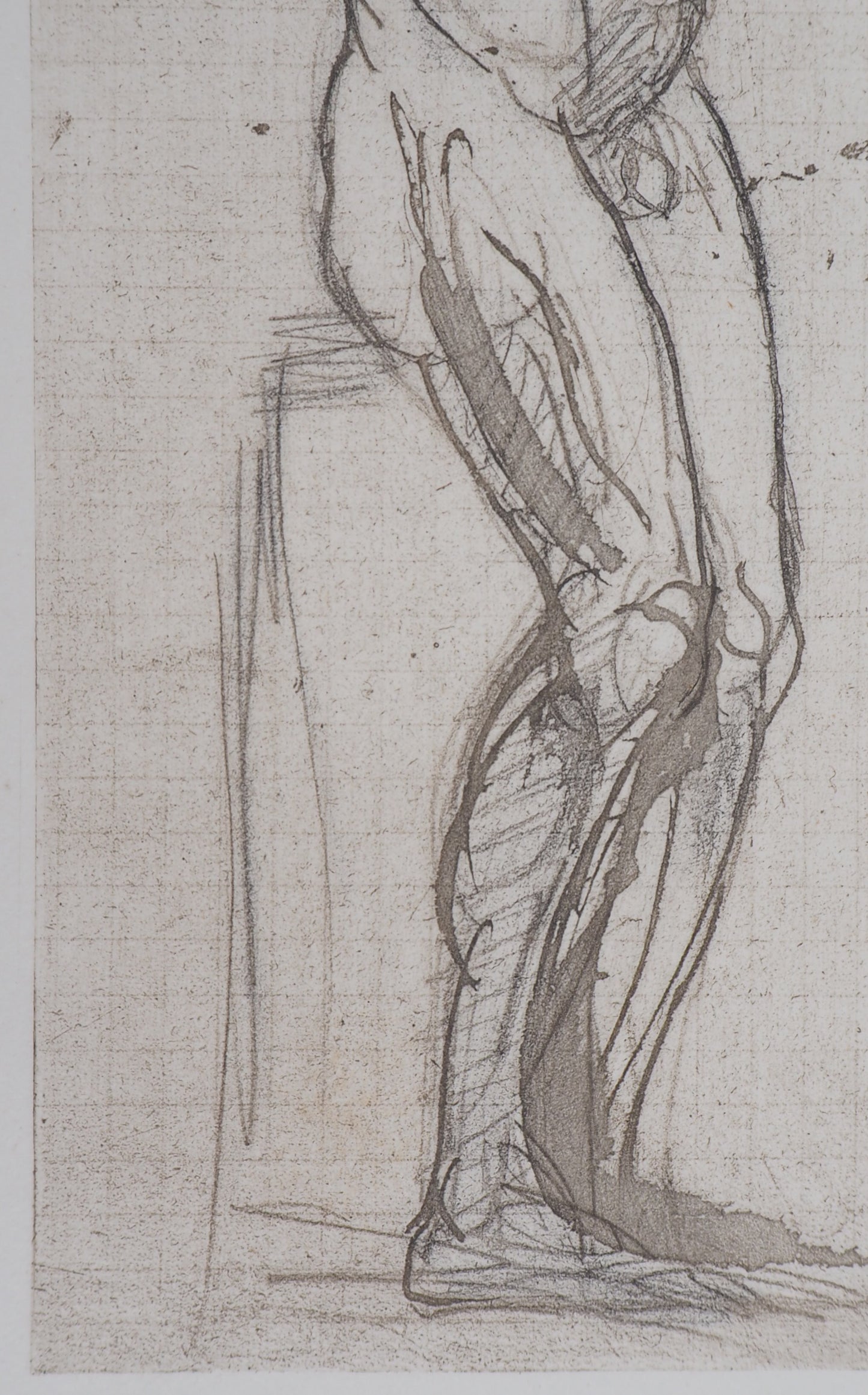 Auguste RODIN :  Homme nu - Gravure