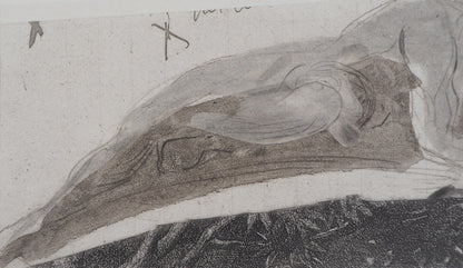 Auguste RODIN : Attaché au rocher - Gravure