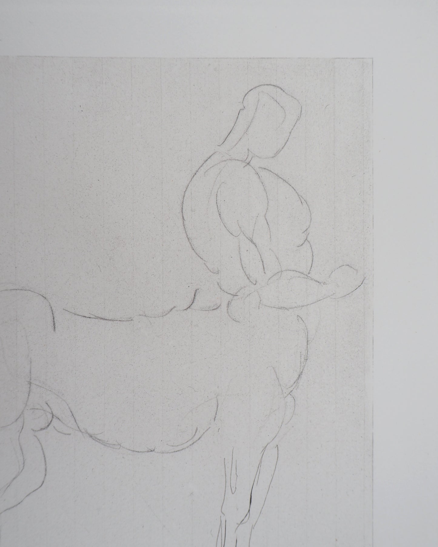 Auguste RODIN : Centaure - Gravure