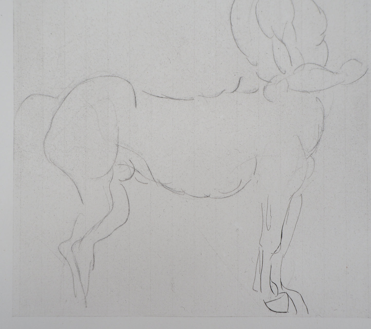 Auguste RODIN : Centaure - Gravure