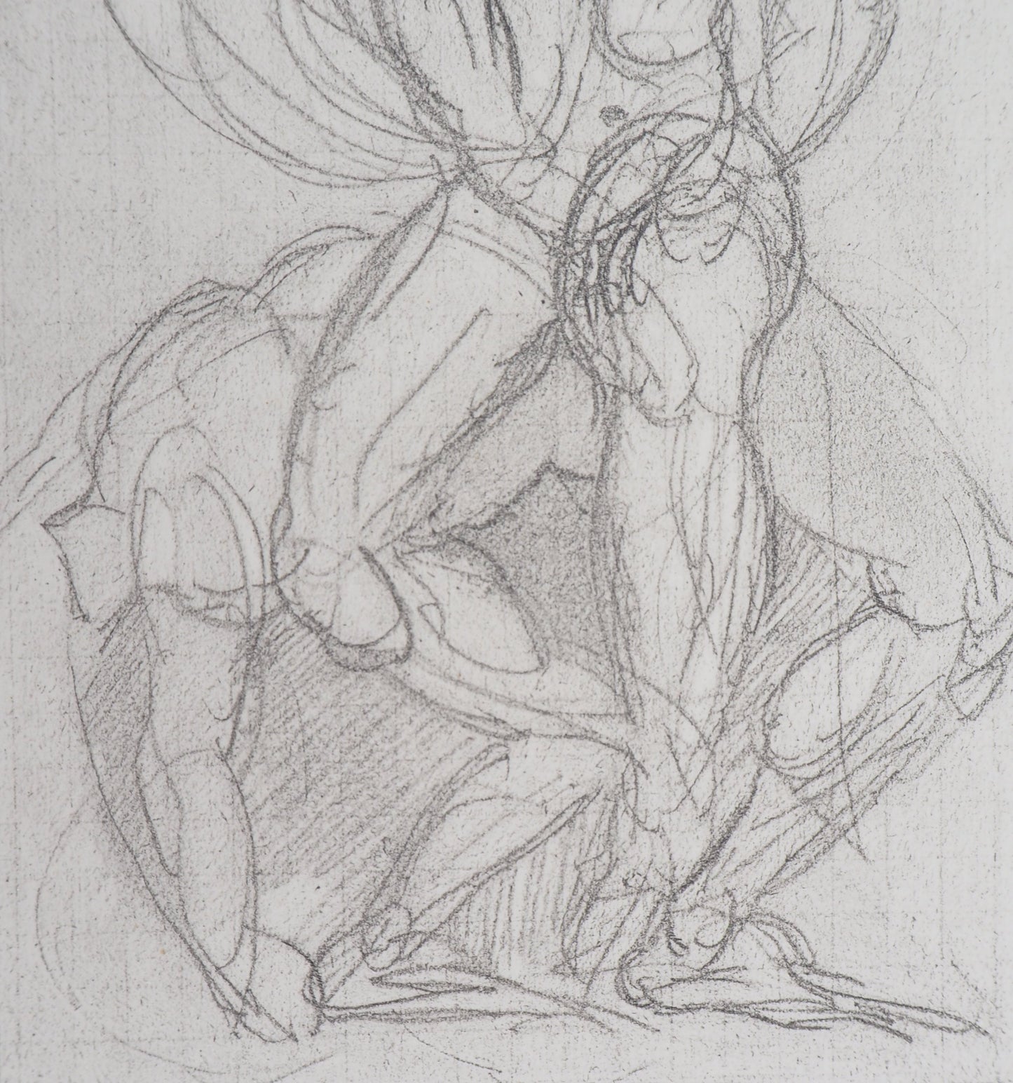 Auguste RODIN : Ombres et Lutte de Jacob avec l'ange - Gravure