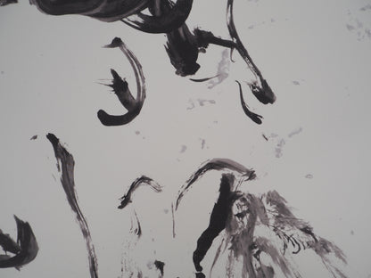 Willem DE KOONING : Paysage sauvage - Lithographie signée
