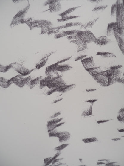 Willem DE KOONING : Femme sauvage - Lithographie