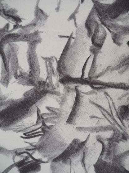 Willem DE KOONING : Atelier américain - Lithographie signée