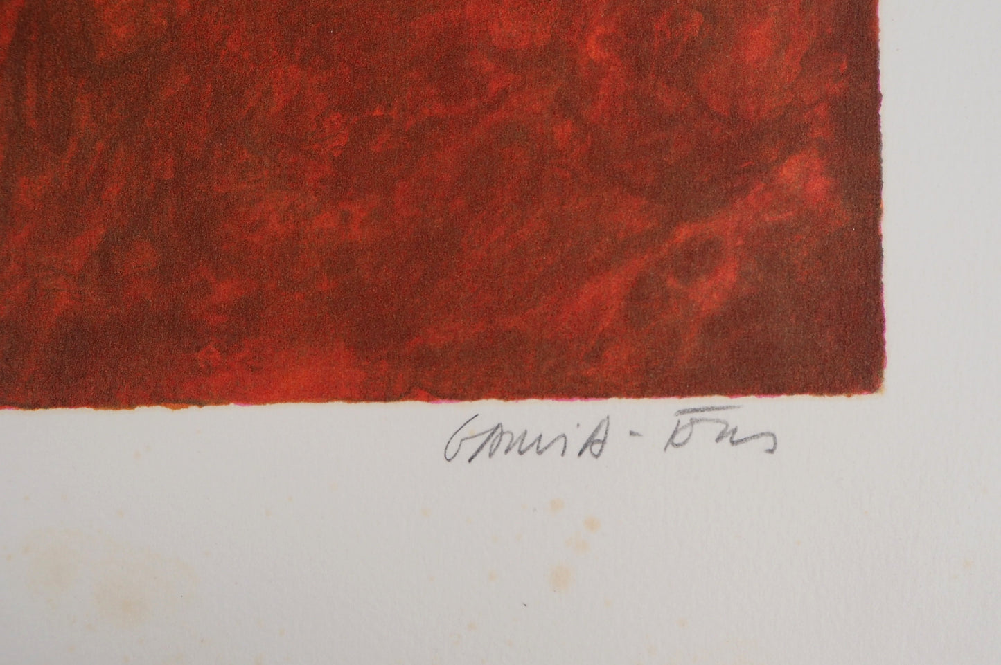 Pierre GARCIA FONS : Amaryllis - Lithographie originale signée