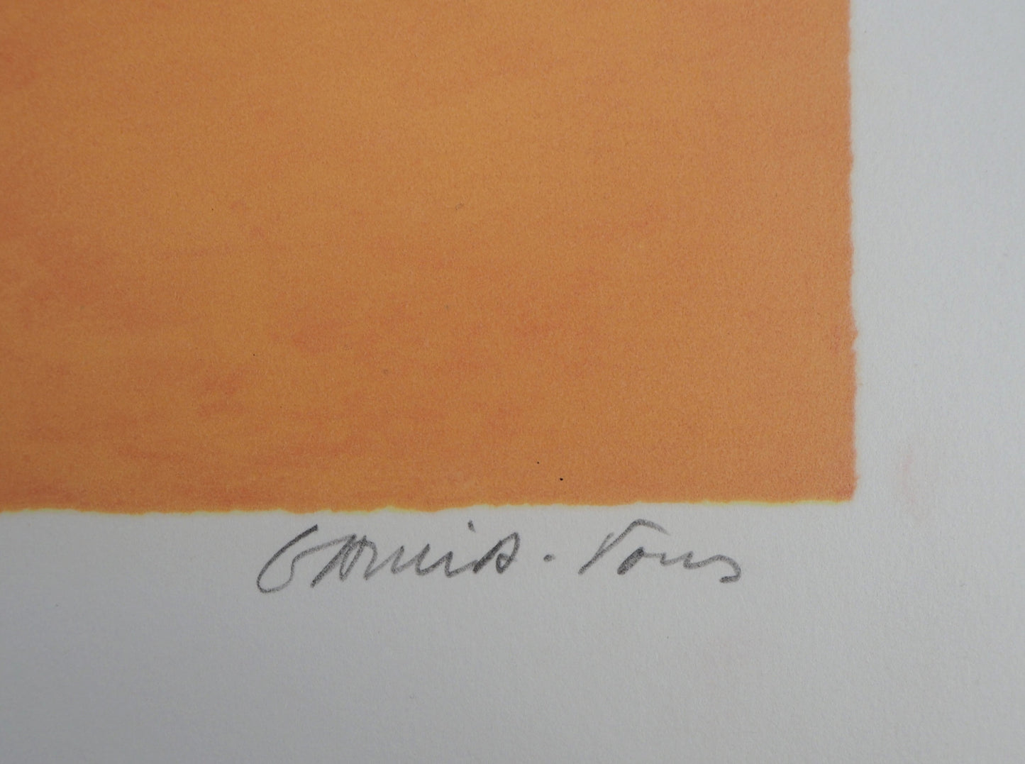 Pierre GARCIA FONS : Magnolia blanc - Lithographie originale signée et dédicacée