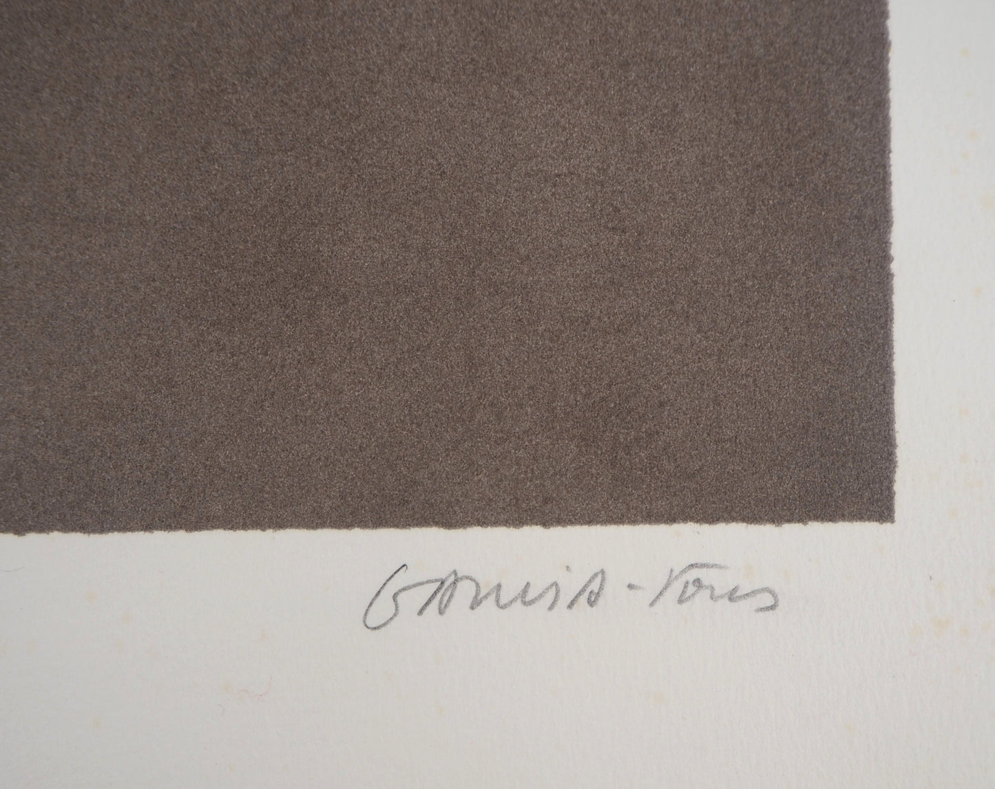 Pierre GARCIA FONS : Camélia - Lithographie originale signée