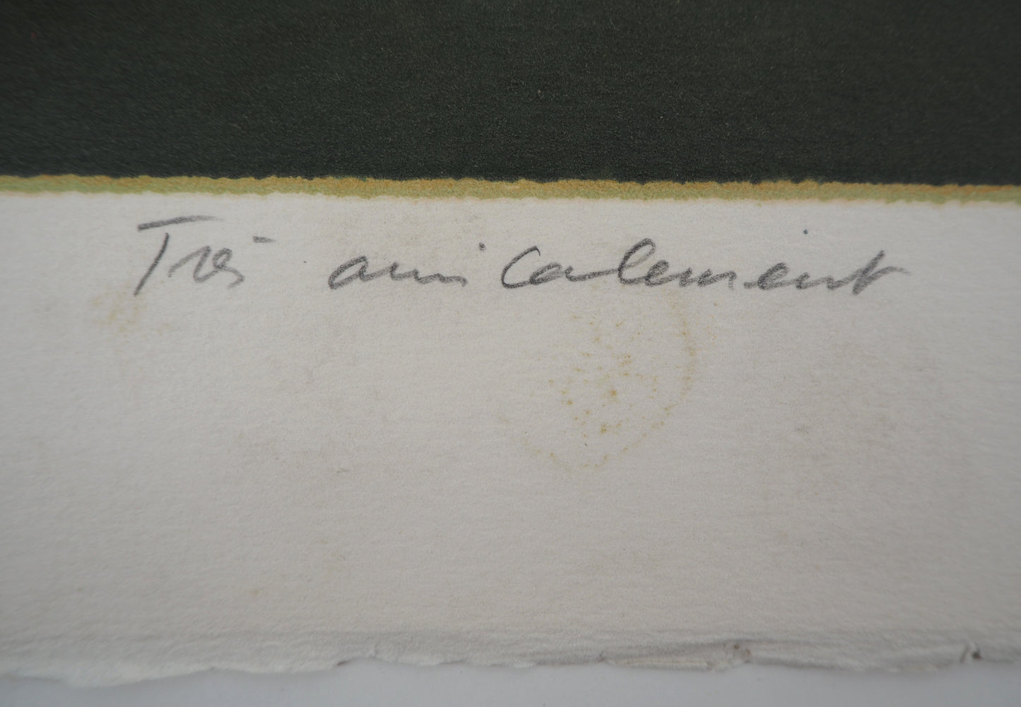 Pierre GARCIA FONS : Grenades dans un bol - Lithographie originale signée et dédicacée