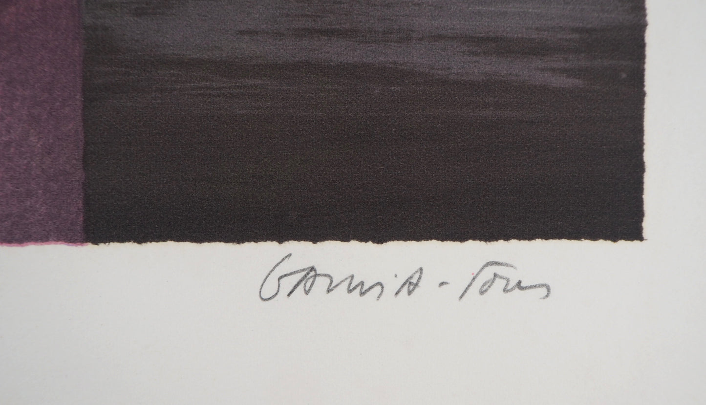 Pierre GARCIA FONS : Reflet dans le miroir - Lithographie originale signée
