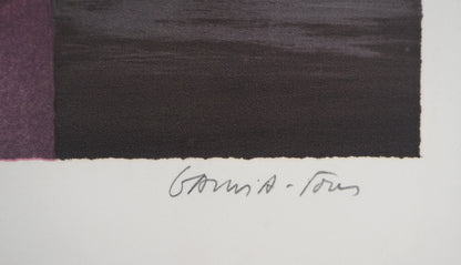 Pierre GARCIA FONS : Reflet dans le miroir - Lithographie originale signée