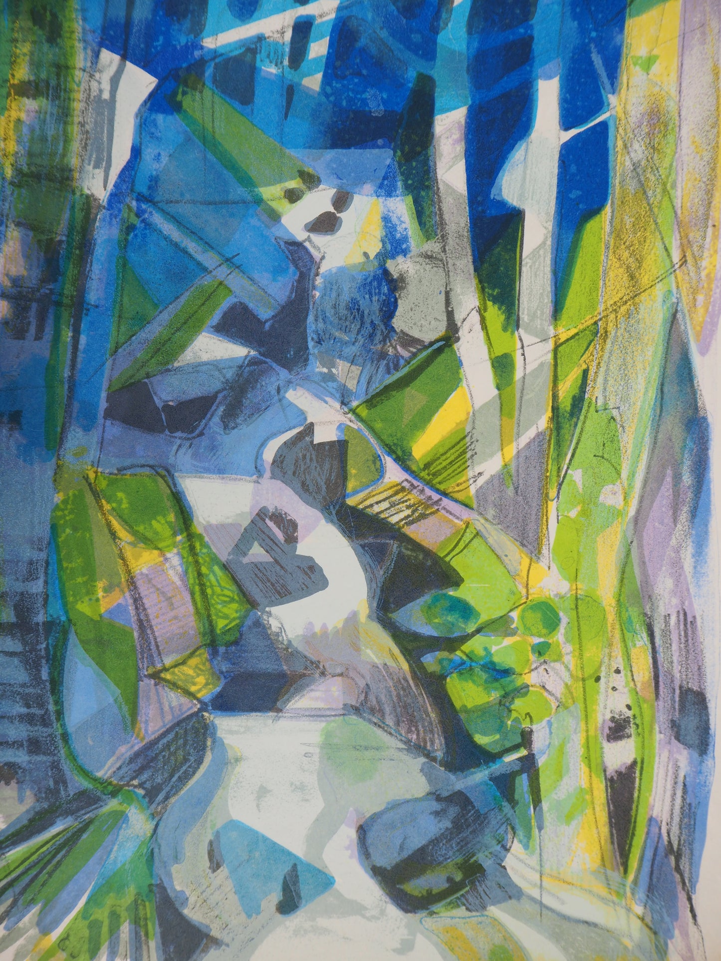 Camille HILAIRE : Torrent en forêt (La Largue) - Lithographie originale signée