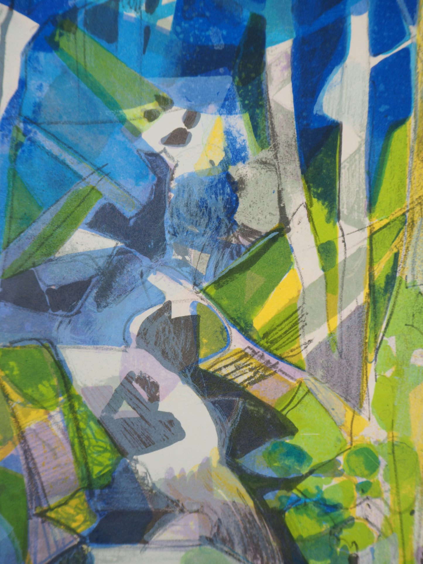 Camille HILAIRE : Torrent en forêt (La Largue) - Lithographie originale signée