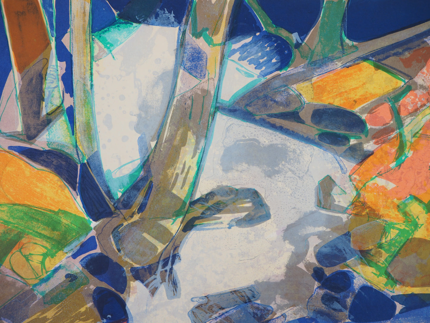 Camille HILAIRE : Paysage éclatant - Lithographie originale signée