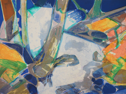 Camille HILAIRE : Paysage éclatant - Lithographie originale signée