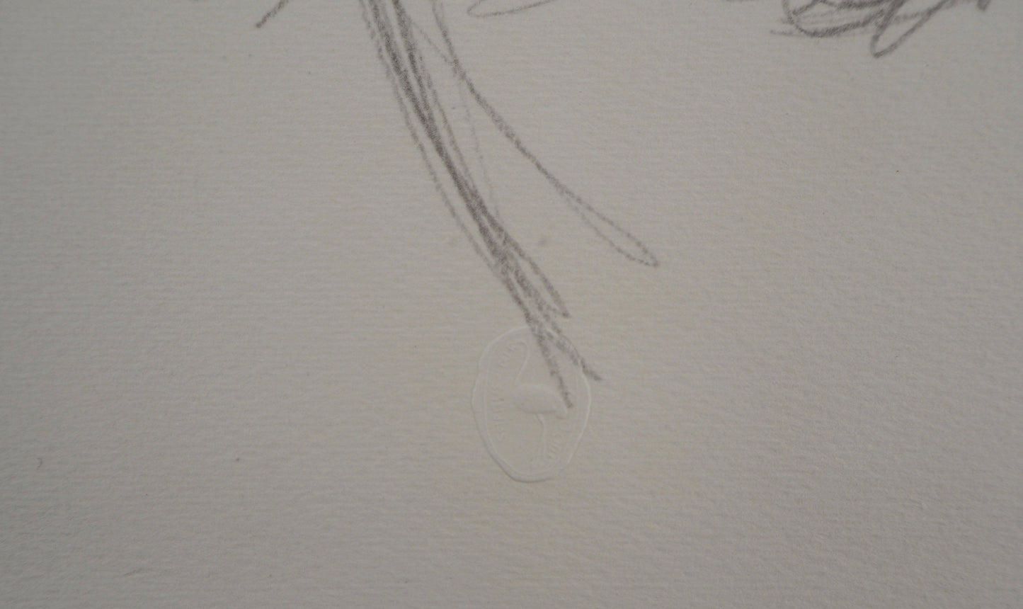 Alberto GIACOMETTI : Portrait de Diego - Lithographie