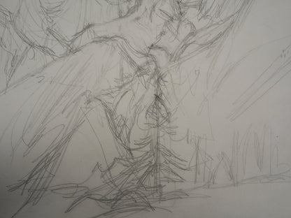 Alberto GIACOMETTI : Paysage - Lithographie signée