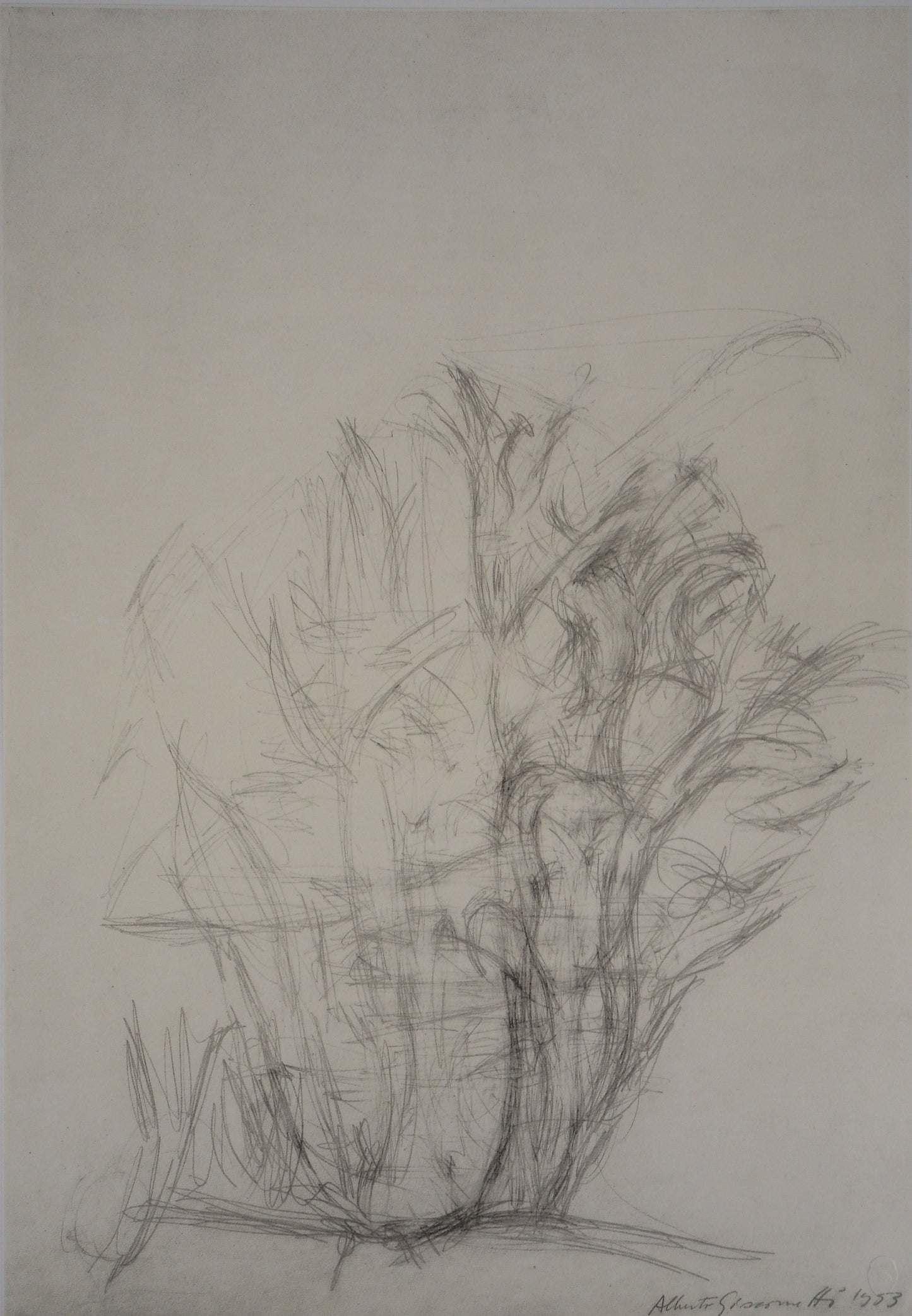 Alberto GIACOMETTI : Arbres - Lithographie signée