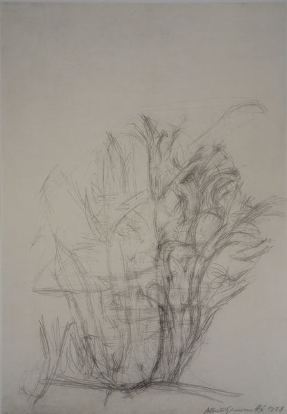Alberto GIACOMETTI : Arbres - Lithographie signée