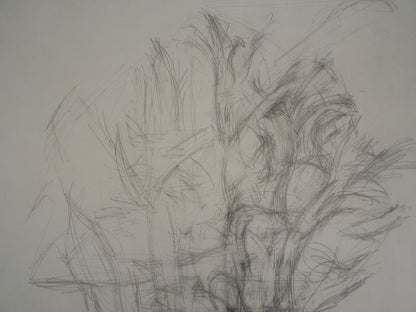 Alberto GIACOMETTI : Arbres - Lithographie signée
