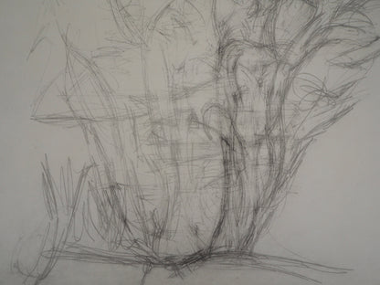 Alberto GIACOMETTI : Arbres - Lithographie signée